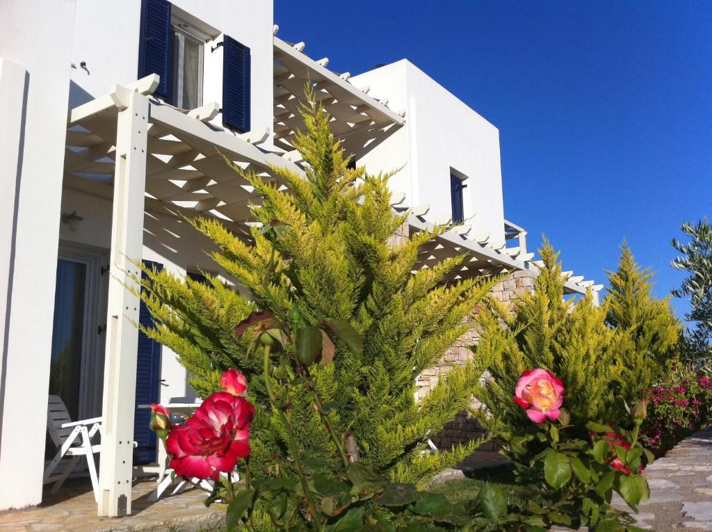 Elea Apartments Kalamos  Rum bild